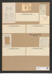 Cocconeis scutellum var. stauroneiformis Rabh. (de-Toni-Nr.: Genus 40, Species 1812) Zeichnungen Sammlung Grunow Nr. 3608 (NHMW-BOT-W0371206)